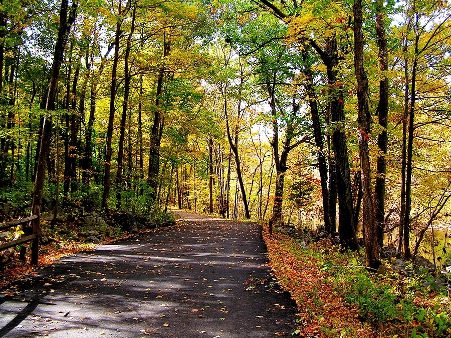 5 Best Scenic Drives in Pennsylvania to Enjoy the Fall Foliage