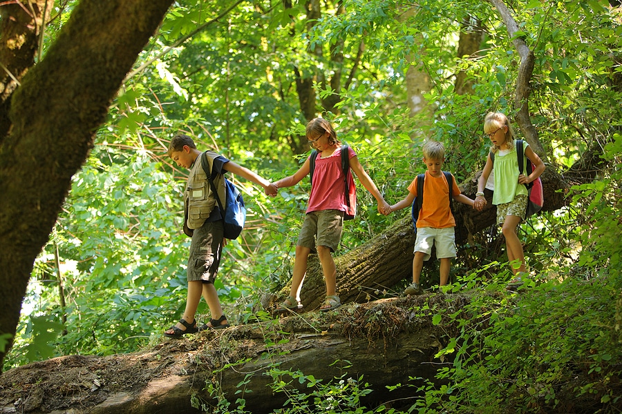 Kid-Approved RV Activities for Summer Travel